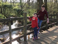 Poohsticks