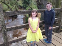 Pooh Bridge